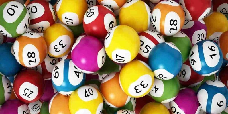 Sơ lược về đề 3 càng